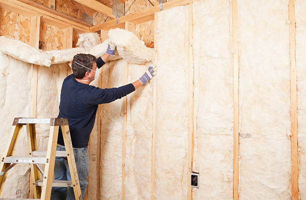 Types of Insulation We Offer in Mayer, MN