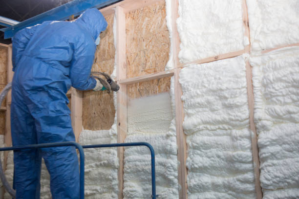 Best Batt and Roll Insulation  in Mayer, MN